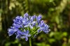 8/15 DSC_3133-2 site.jpg